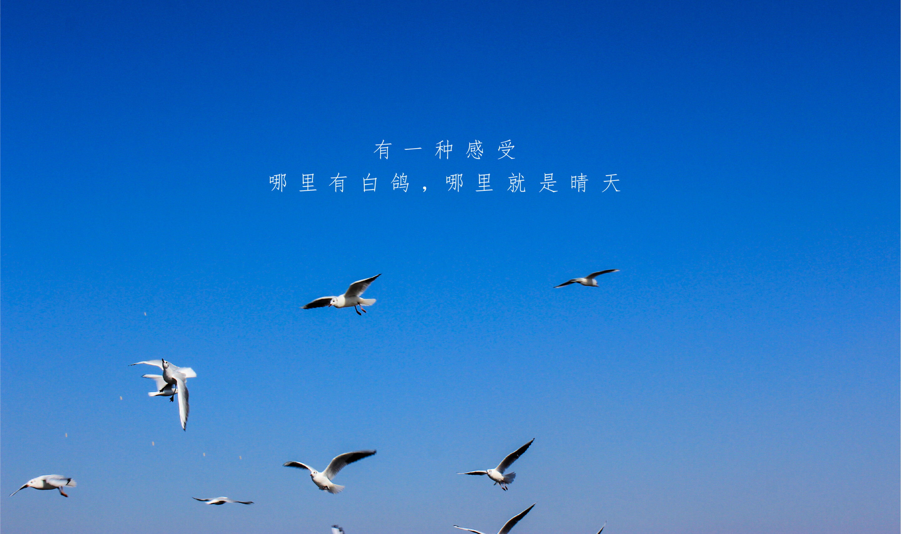 晴天