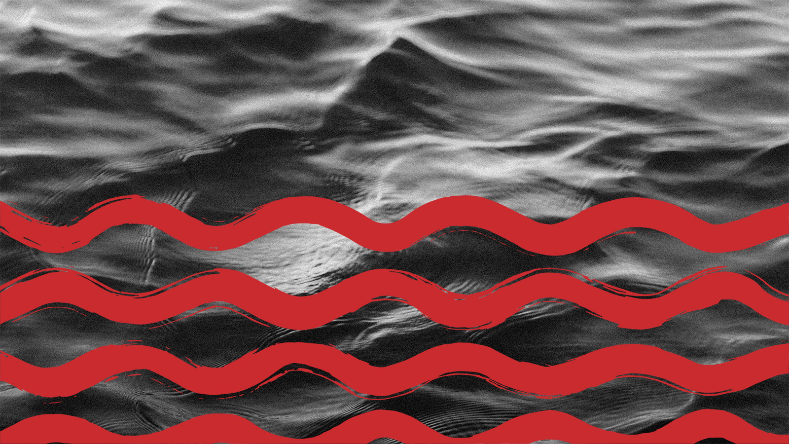 探鱼·炭火烤鱼